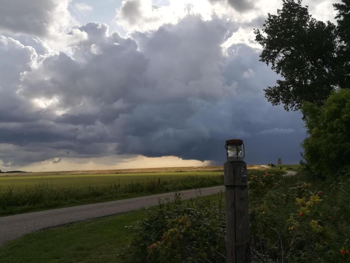 In De Boomgaard